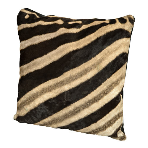 Burchell Zebra Skin Pillow